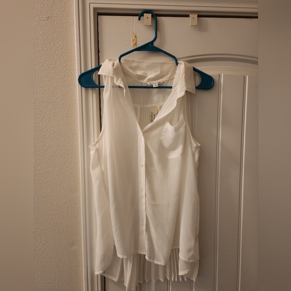 American Eagle Outfitters Sheer Pleated Back Blouse – Large – NWT